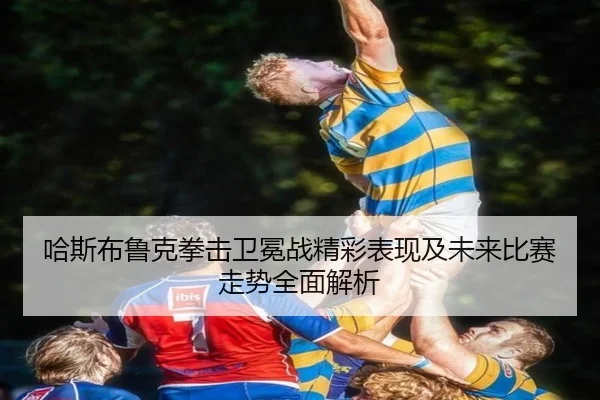 哈斯布鲁克拳击卫冕战精彩表现及未来比赛走势全面解析